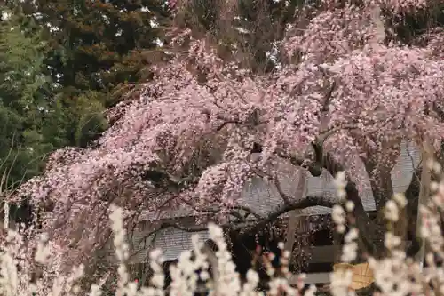 建福寺の庭園