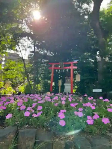 川越八幡宮(埼玉県)