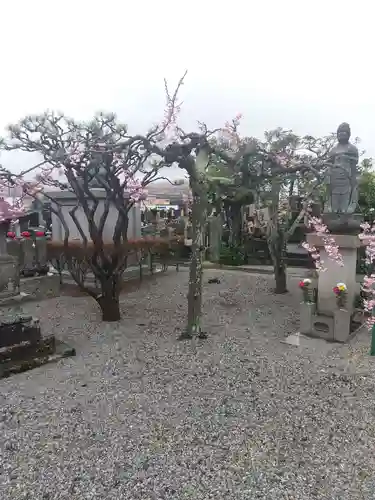 養性寺(埼玉県)