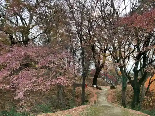 武田神社(山梨県)