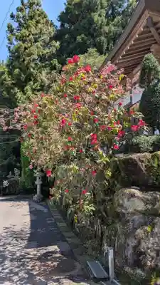 文殊院(福岡県)