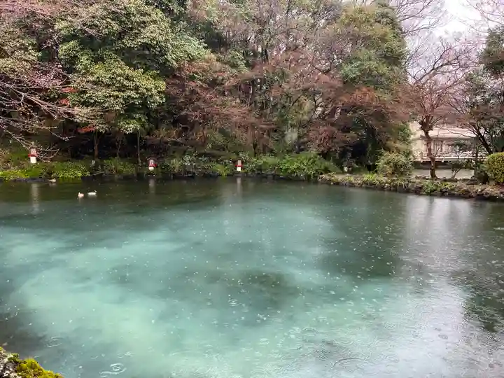 富士山本宮浅間大社(静岡県)