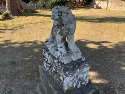 青根原神社の狛犬