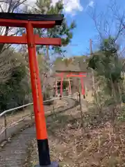 歳徳神社の鳥居