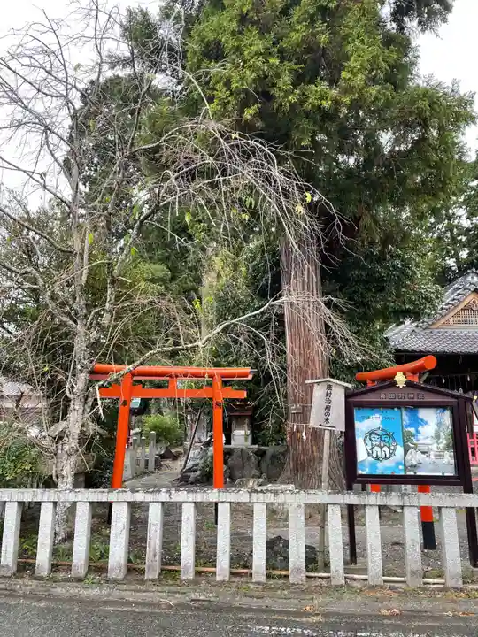 稗田野神社(薭田野神社)(京都府)
