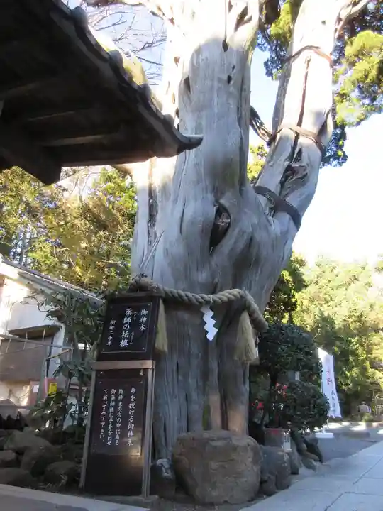 伊古奈比咩命神社のその他建物
