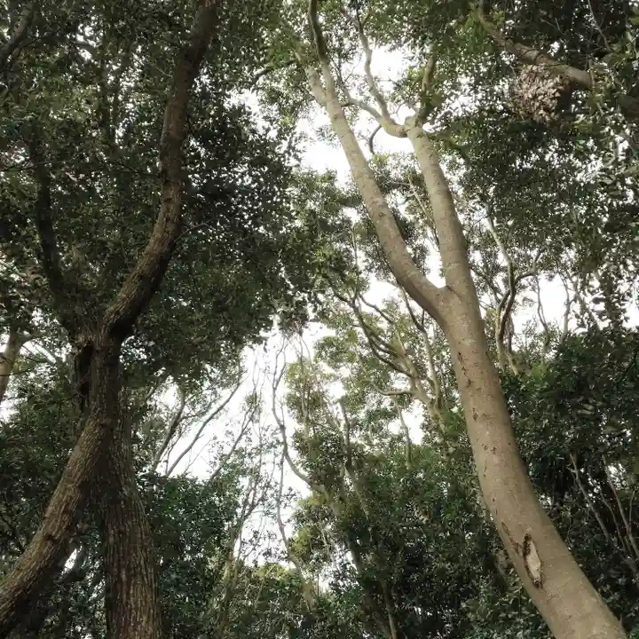 天満神社の自然