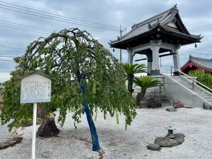 大信寺(群馬県)