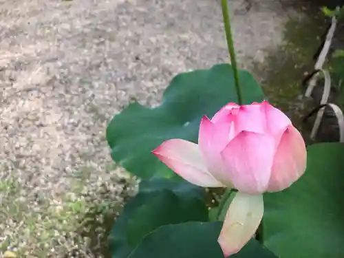 白毫寺(奈良県)