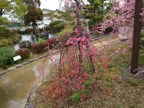 圓鏡寺(岐阜県)