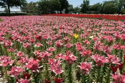 五智如来堂(福井県)