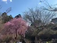 本土寺(千葉県)