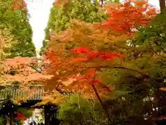 赤山禅院(京都府)