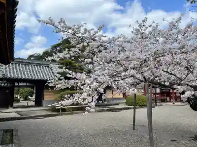御池坊（粉河寺本坊）(和歌山県)