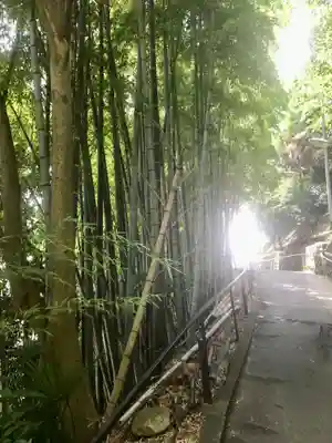 大船観音寺(神奈川県)