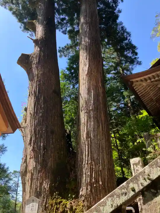 榛名神社(群馬県)