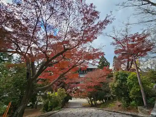 東大寺(奈良県)