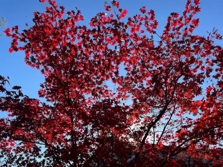 善水寺(滋賀県)