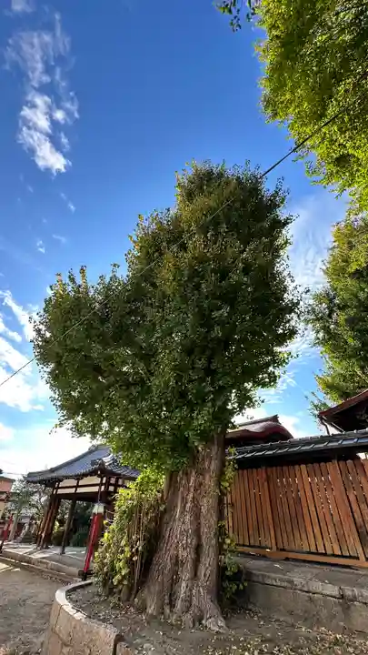 宇賀神社(京都府)