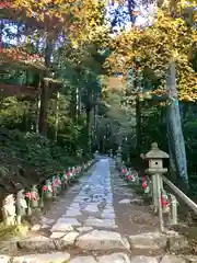 金剛輪寺の建物その他