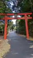 竹中稲荷神社(吉田神社末社)(京都府)