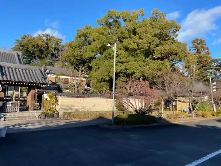 蔵王堂光福寺(京都府)