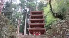 室生寺の塔