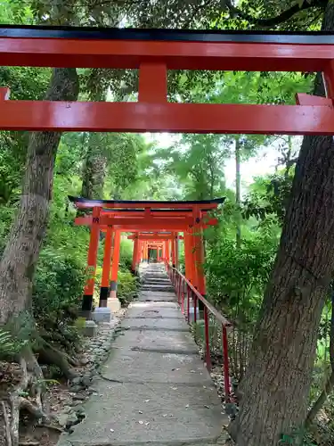 二葉姫稲荷神社の鳥居