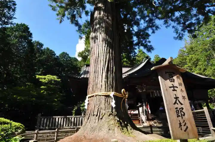 北口本宮冨士浅間神社(山梨県)