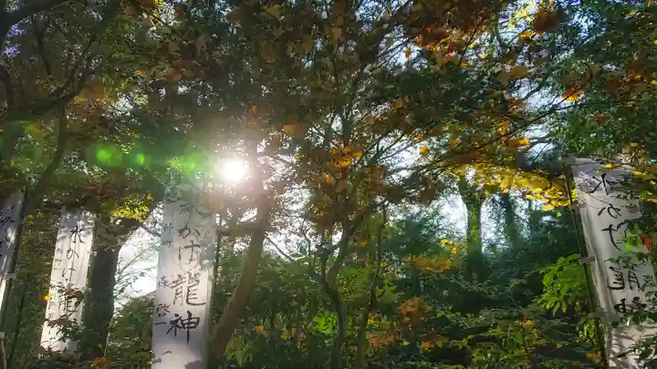 若宮神明社の景色