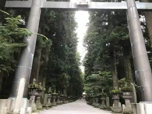 北口本宮冨士浅間神社の鳥居