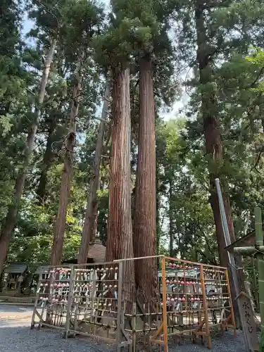 熊野大社(山形県)