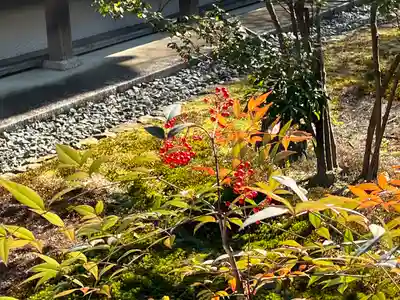 大覚寺(京都府)