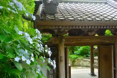 岩殿寺(神奈川県)