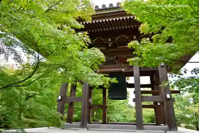  智積院のその他建物