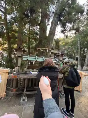 大神神社(奈良県)