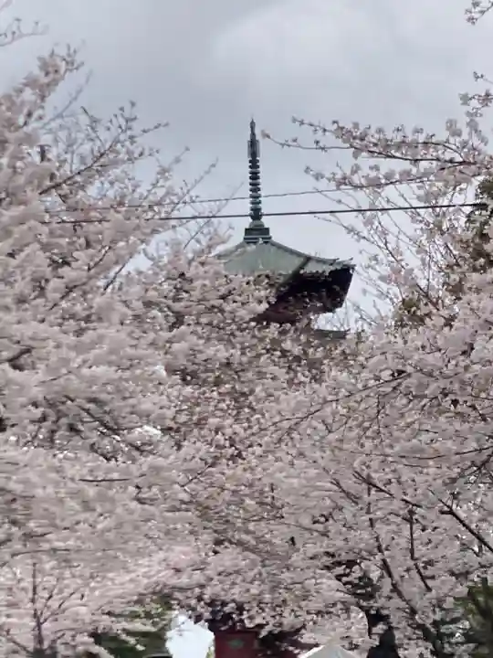 池上本門寺(東京都)