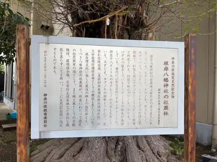 根岸八幡神社の{uncategorized: "未分類", other: "その他", undefined: "問題あり", building: "その他建物", grave: "お墓", sacred_gate: "鳥居", guardian: "狛犬", statue: "像", buddha: "仏像", history: "歴史", nature: "自然", garden: "庭園", animal: "動物", pagoda: "塔", temizu: "手水舎", mountain_gate: "山門・神門", sanctuary: "本殿・本堂", subordinate: "末社・摂社", art: "芸術", scenery: "景色", jizo: "地蔵", ema: "絵馬", goshuin: "御朱印", omikuji: "おみくじ", items: "授与品その他", amulet: "お守り", goshuincho: "御朱印帳", eats: "食事", festival: "お祭り", votive_dance: "神楽", shichigosan: "七五三参", wedding: "結婚式", experience: "体験その他", initially: "初詣", around: "周辺", anti_infection: "感染症対策"}