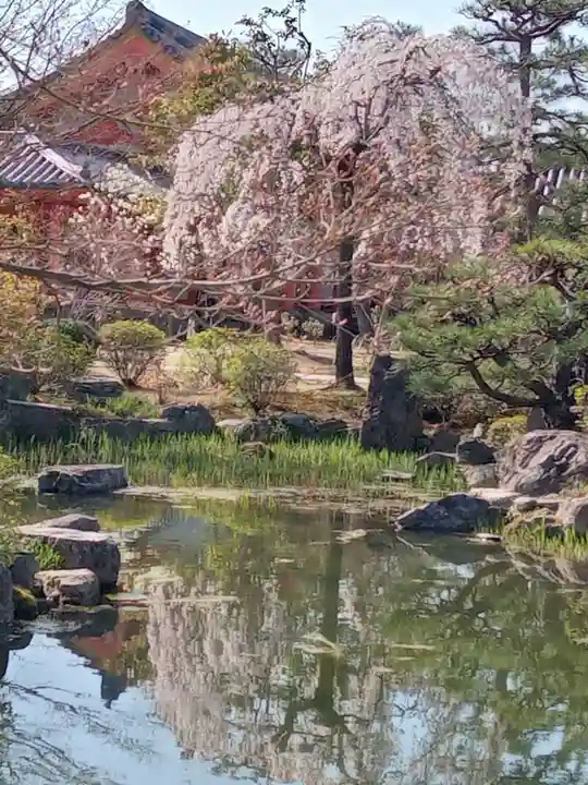 蓮華王院(三十三間堂)(京都府)