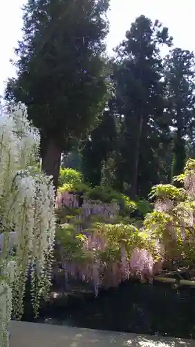 歌泉堂（春日大社神苑萬葉植物園内鎮座）(奈良県)