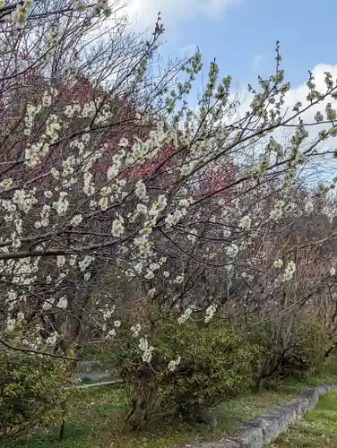 梅宮大社(京都府)