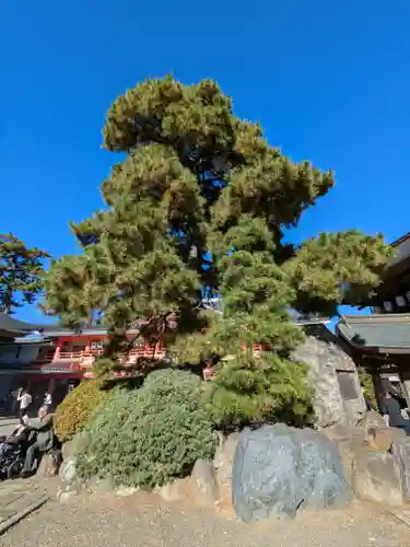 高幡不動尊　金剛寺(東京都)