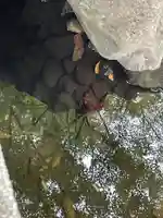 増上寺塔頭 三縁山 宝珠院(東京都)