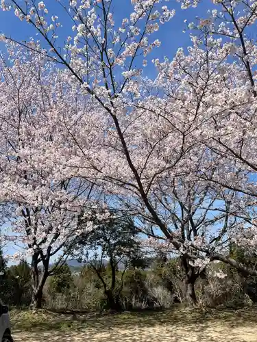 貴船神社の自然