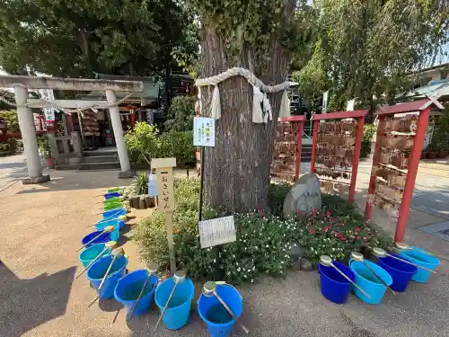 川越八幡宮(埼玉県)