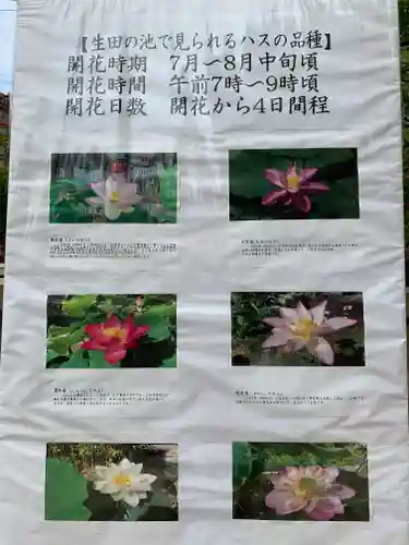 生田神社のその他建物