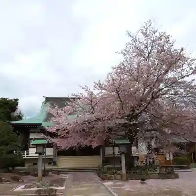 清瀧院の本殿・本堂