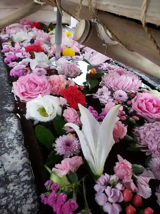 鳩森八幡神社(東京都)