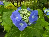 宝性院(石山寺寺務所)(滋賀県)