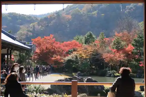 天龍寺の庭園